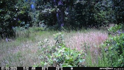 PICT0663.JPG