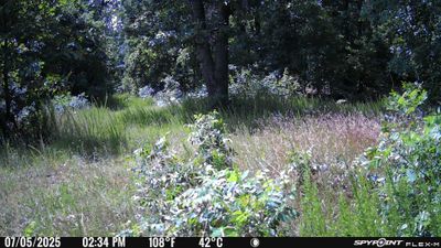 PICT0713.JPG