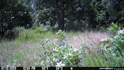 PICT0913.JPG