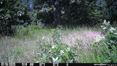 PICT0979.JPG