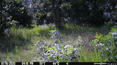 PICT1023.JPG