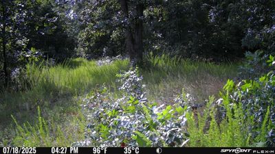PICT1031.JPG