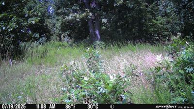 PICT1037.JPG