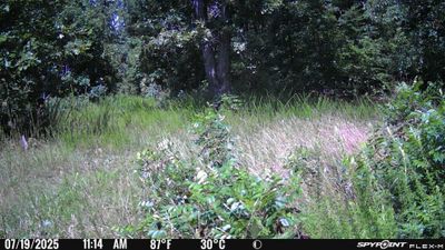 PICT1038.JPG