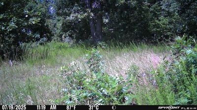 PICT1039.JPG