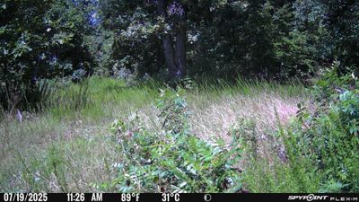 PICT1040.JPG