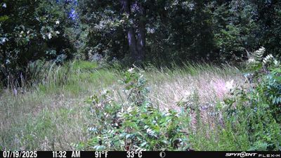 PICT1042.JPG