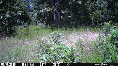 PICT1043.JPG