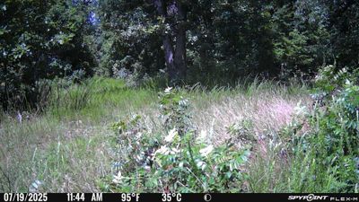 PICT1049.JPG
