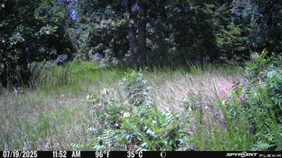PICT1051.JPG