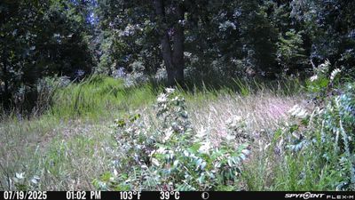PICT1061.JPG