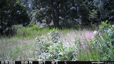 PICT1064.JPG