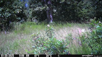 PICT1088.JPG