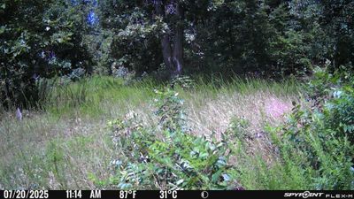PICT1091.JPG