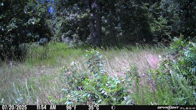 PICT1094.JPG