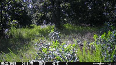 PICT1112.JPG