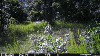 PICT1113.JPG