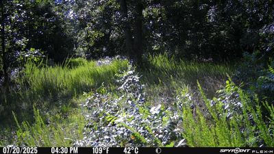 PICT1114.JPG