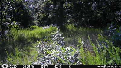 PICT1115.JPG