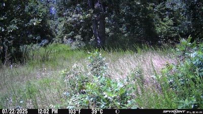 PICT1122.JPG