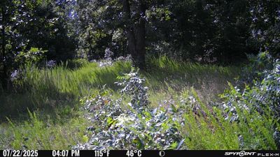 PICT1128.JPG