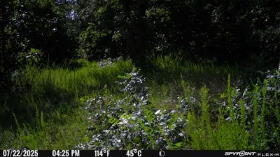 PICT1130.JPG