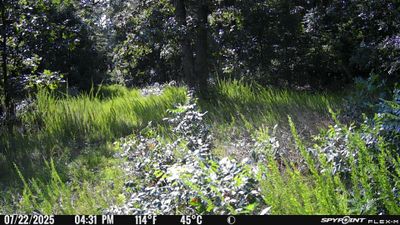 PICT1131.JPG