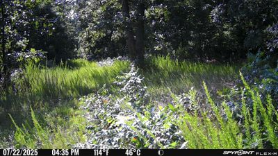PICT1132.JPG