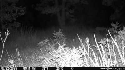 PICT1134.JPG