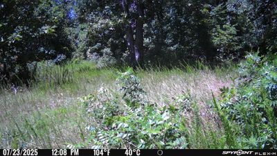 PICT1139.JPG