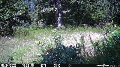 PICT1141.JPG