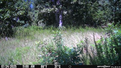 PICT1142.JPG