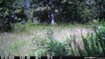 PICT1143.JPG