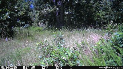 PICT1144.JPG