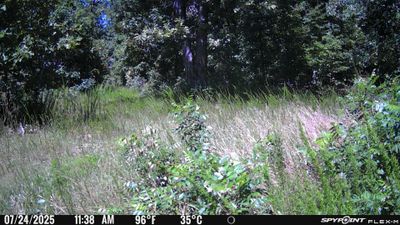 PICT1145.JPG