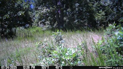 PICT1147.JPG