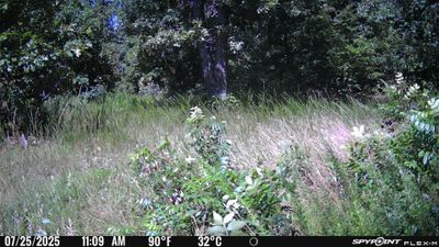 PICT1162.JPG