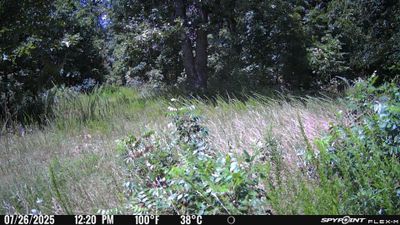 PICT1170.JPG