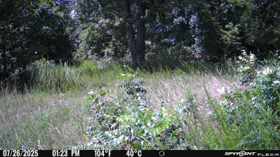 PICT1173.JPG