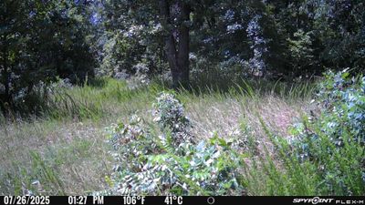 PICT1174.JPG