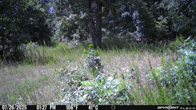 PICT1175.JPG