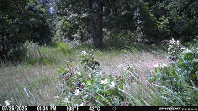 PICT1179.JPG