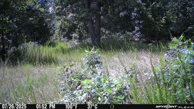 PICT1181.JPG