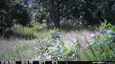 PICT1191.JPG