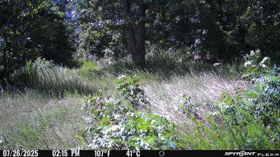 PICT1192.JPG