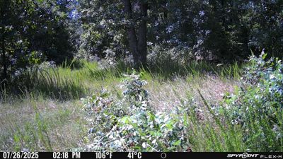 PICT1193.JPG