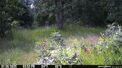 PICT1199.JPG