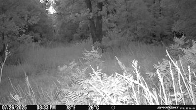 PICT1201.JPG