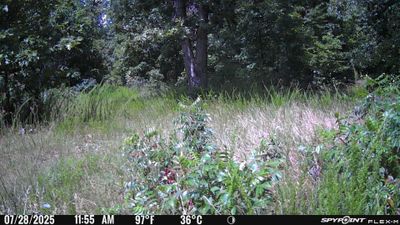 PICT1203.JPG