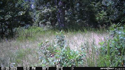 PICT1204.JPG